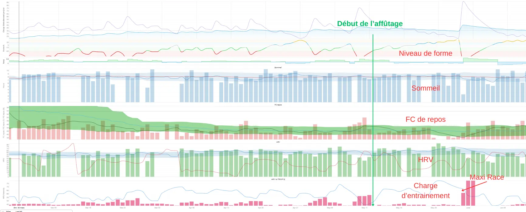 VFC et fréquence cardiaque au repos lors de l'affûtage — marqueurs de récupération