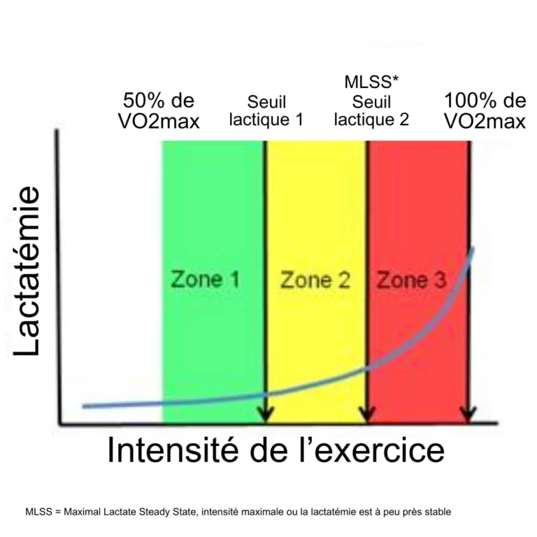 Graphique zones entraînement selon taux lactate - seuil trail running