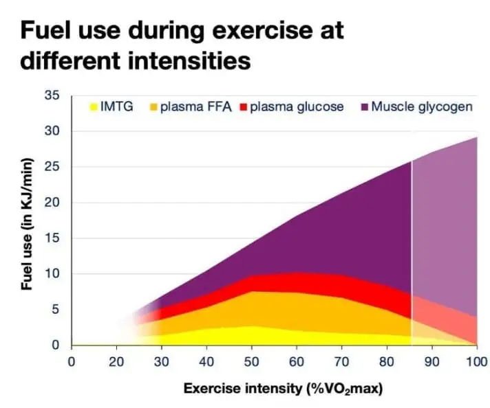 Graphique sources d'énergie selon intensité effort - entraînement trail running